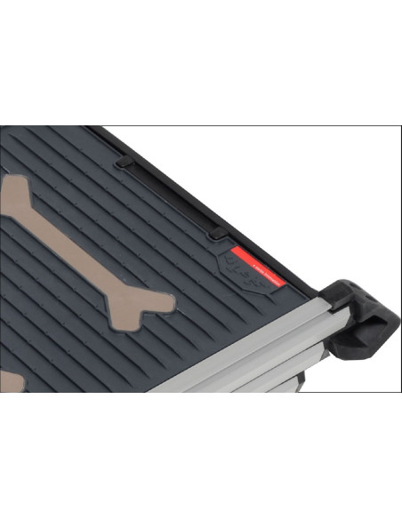 ProLine Easy Step Rampe
