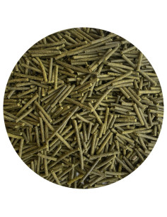Nordic Joint Power 2