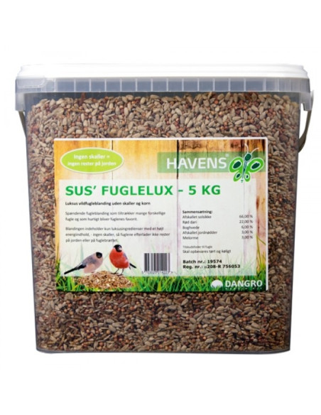 Sus' FugleLux