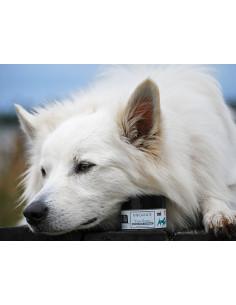 Biogance Paw Balm 2
