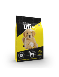 LIVE Puppy