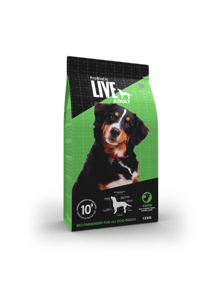 LIVE Adult Lam