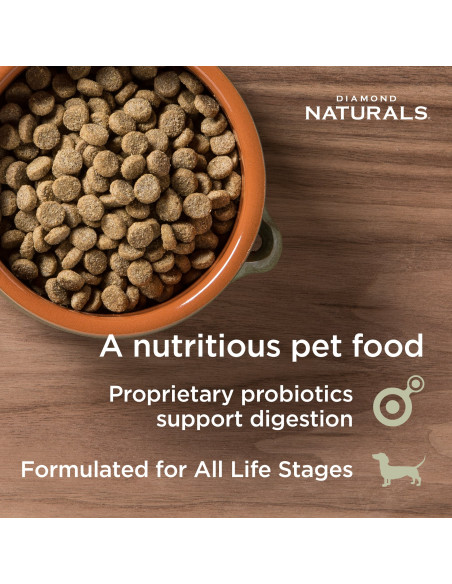 Skin & Coat All Life Stages Salomon & Potato