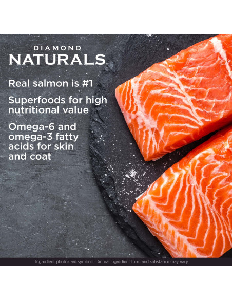 Skin & Coat All Life Stages Salomon & Potato