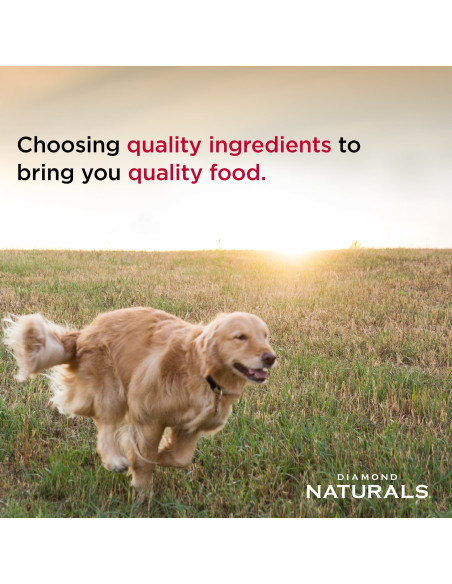 Small Breed Adult Dog Chicken & Rice