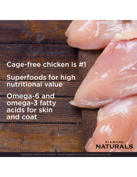Large Breed Adult Chicken & Rice