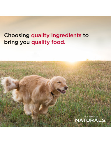 Small & Medium Puppy Chicken & Rice