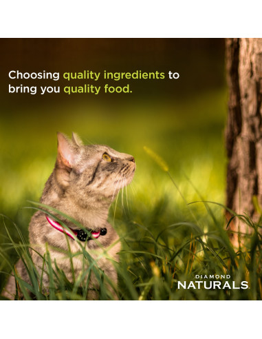 Finicky Cat Formula Chicken meal & Rice