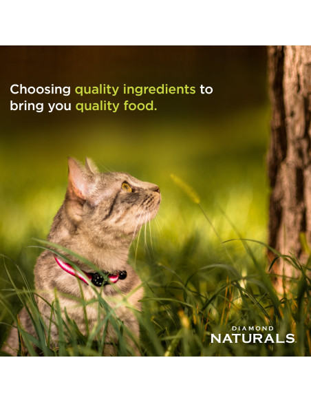 Finicky Cat Formula Chicken meal & Rice