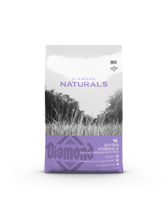 Kitten Formula med Kylling & Ris