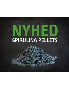 Amequ Spirulina Pellets