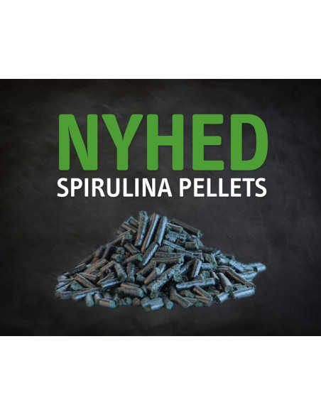 Amequ Spirulina Pellets
