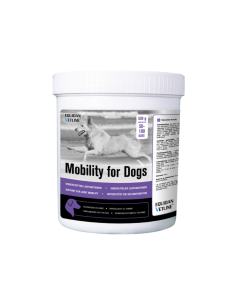 Mobility for Dogs