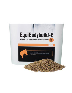 EquiBodybuild-E 2