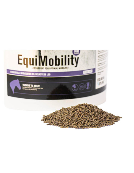 EquiMobility 100 dage