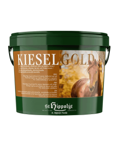 Kieselgold