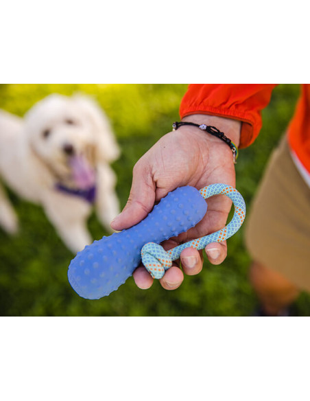 Ruffwear Gourdo Toy