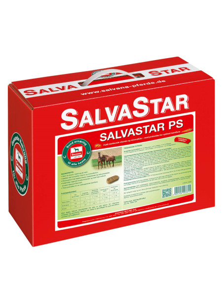 Salvastar PS kiks