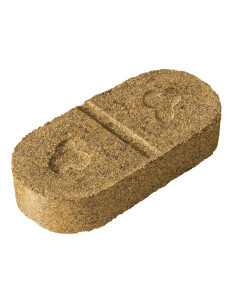 Salvastar PS kiks 2