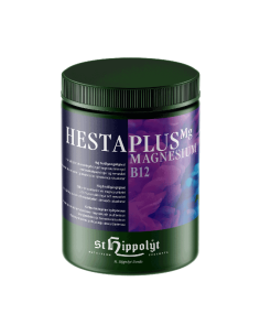 St. Hippolyt Hestaplus Magnesium B12