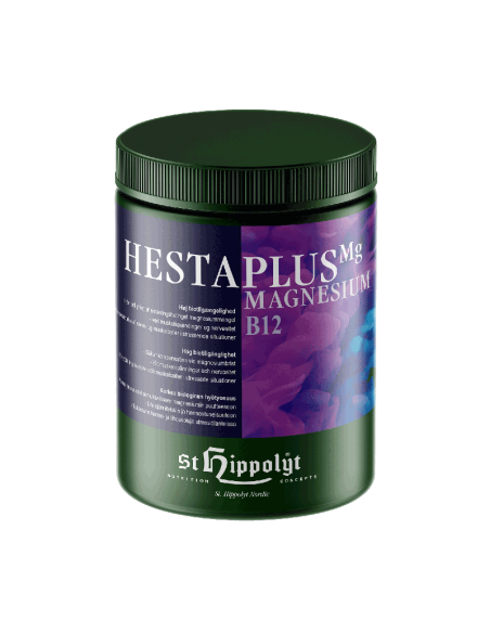 St. Hippolyt Hestaplus Magnesium B12