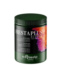 St. Hippolyt Hestaplus Kobber