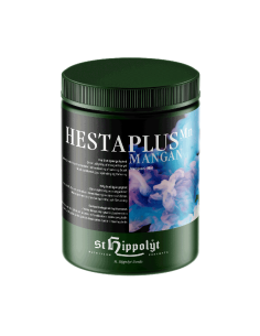 St. Hippolyt Hestaplus Mangan