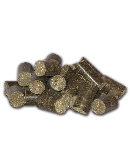 Salvana Icelandic Brix