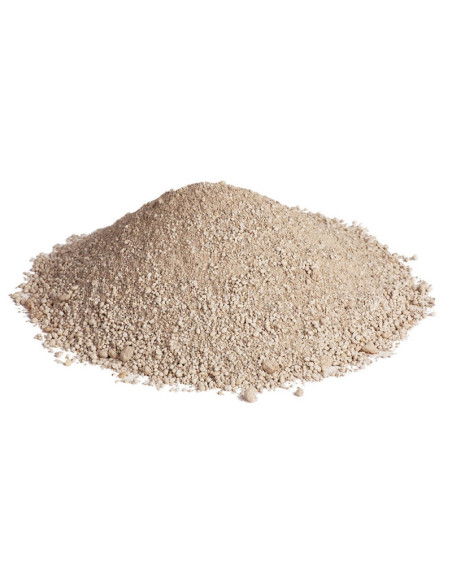 Salvana Calcium Plus