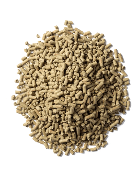 Equsana Perform Vit