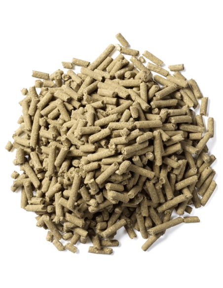 Equsana Premium Vit