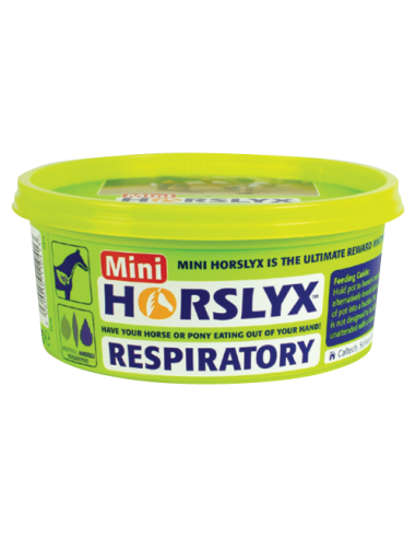 Mini Horslyx Respiratory