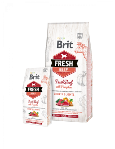 Brit Fresh Beef Puppy Large