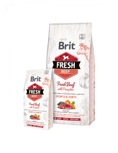 Brit Fresh Beef Puppy Large