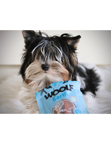 Woolf Earth Noohide sticks tuna