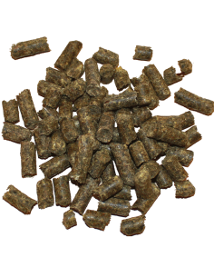 Muscle Protein 2