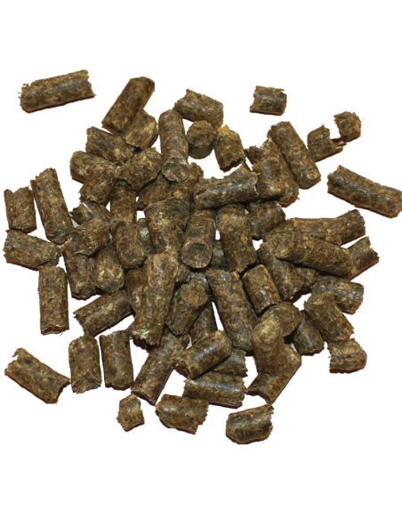 St. Hippolyt Muscle Protein