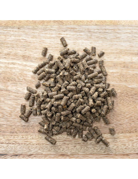 St. Hippolyt Muscle Rice