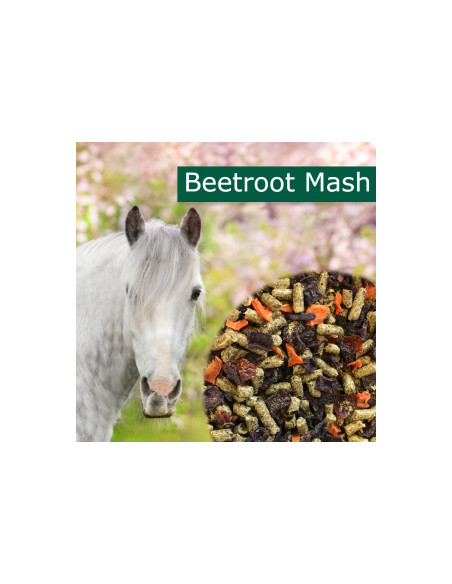 HorsePro Beetroot Mash