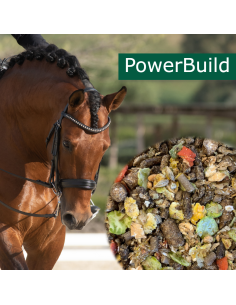 HorsePro PowerBuild