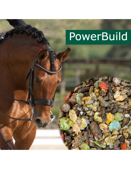 HorsePro PowerBuild