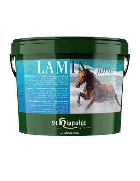 St. Hippolyt Lamin forte