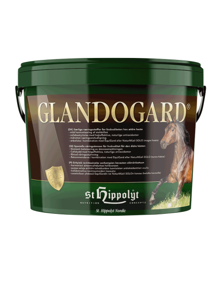 næringsstoffer til ældre heste i grøn spand med 3,75 kg