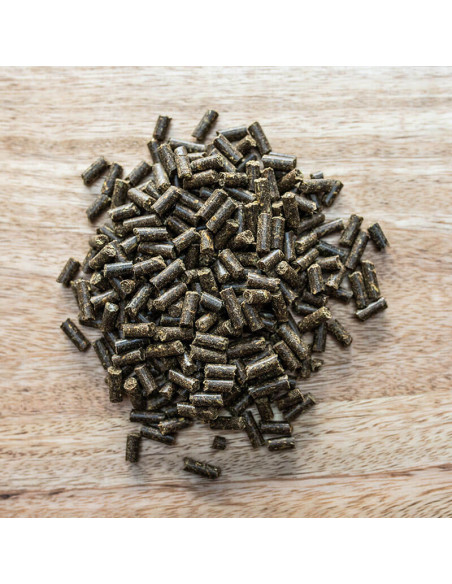 St. Hippolyt GlandoGard