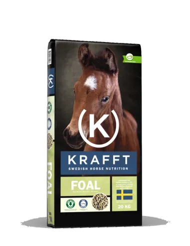 Krafft Foal