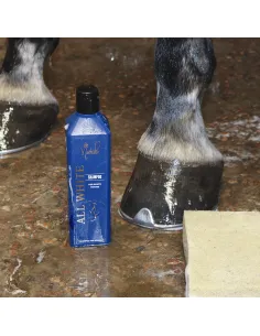 #hestepleje #hvidhest #allwhite #shampoo #misfarvning #pleje #glans #strålende 2