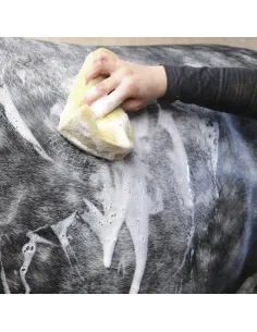 #hestepleje #sorthest #allblack #shampoo #farve #glans #pleje #strålende 2