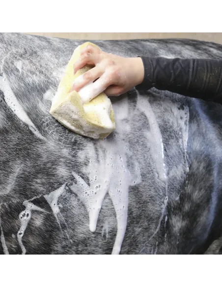 Nathalie All Black Shampoo