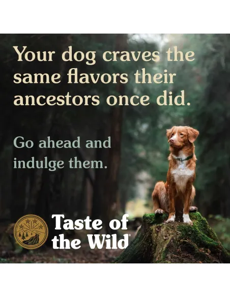 Taste of the Wild Pacific Stream Puppy