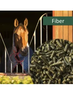 HorsePro Fiber